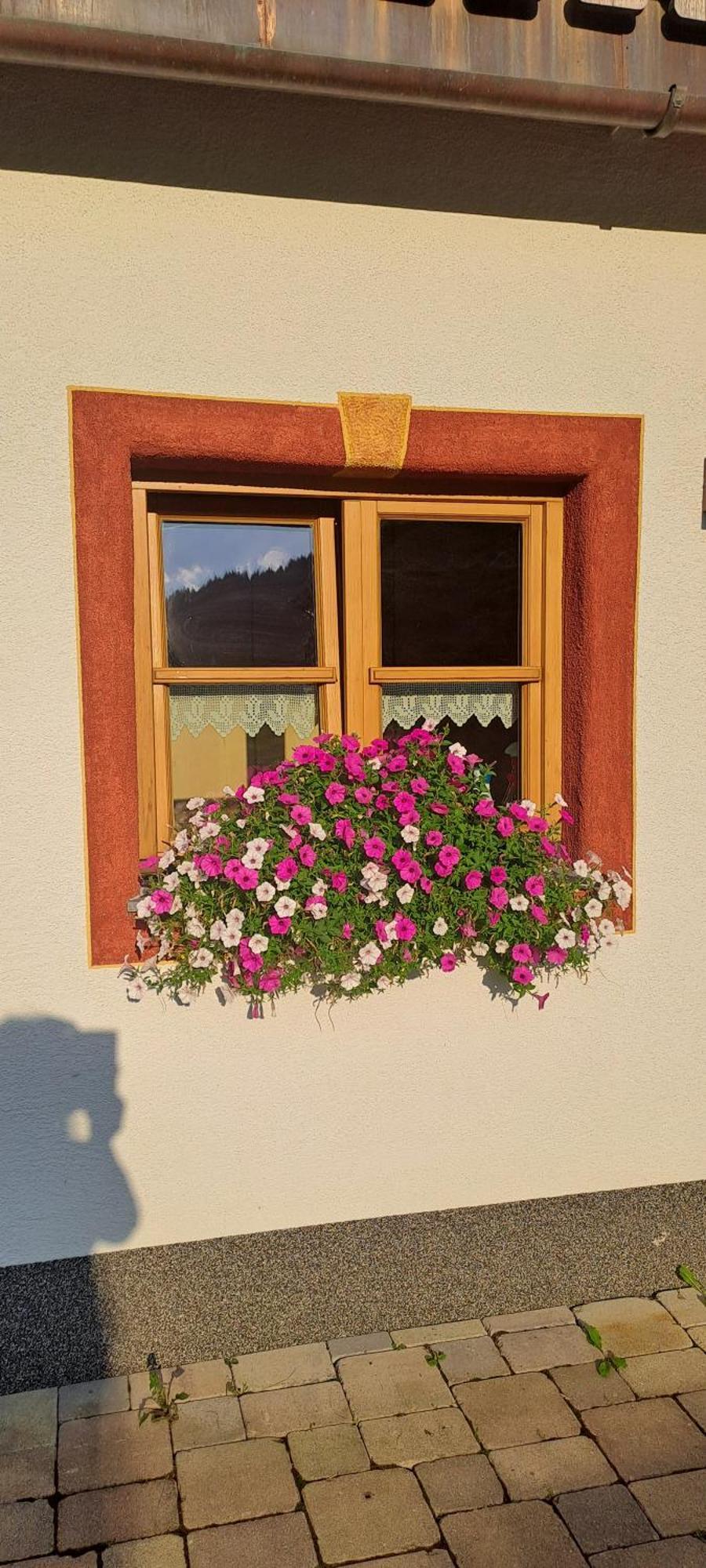 Ferienwohnung Steinernes Meer Maria Alm am Steinernen Meer Exterior photo