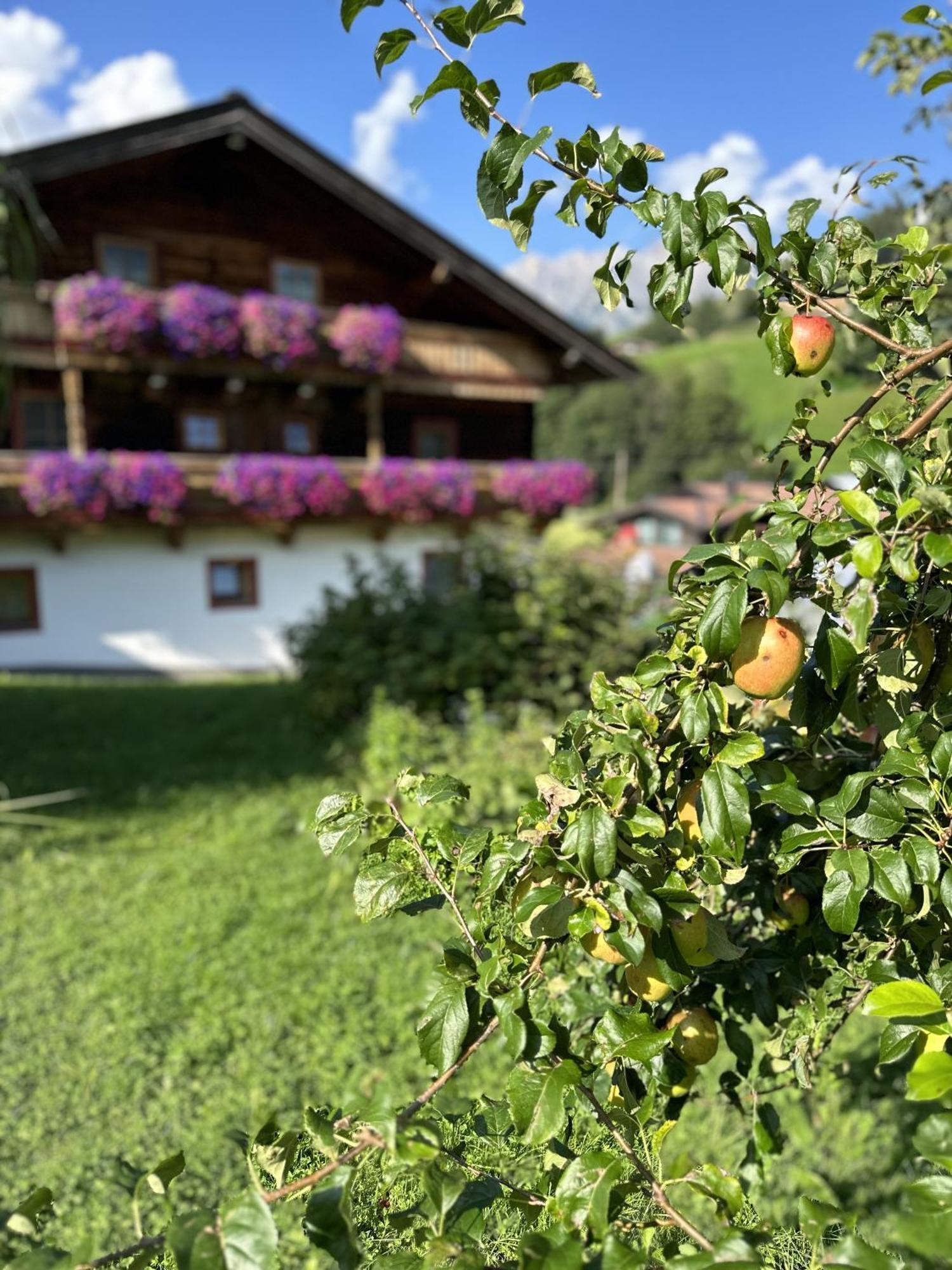 Ferienwohnung Steinernes Meer Maria Alm am Steinernen Meer Exterior photo